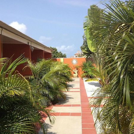 Carinas Studio Apartments Palm Beach Zewnętrze zdjęcie