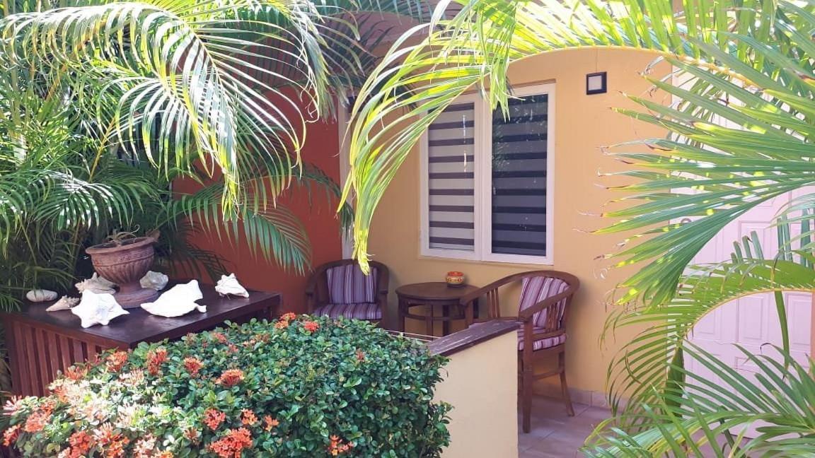 Carinas Studio Apartments Palm Beach Zewnętrze zdjęcie