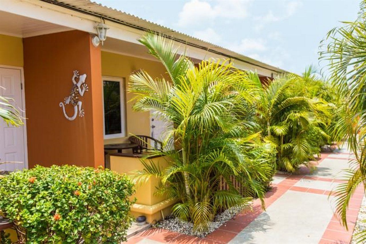 Carinas Studio Apartments Palm Beach Zewnętrze zdjęcie
