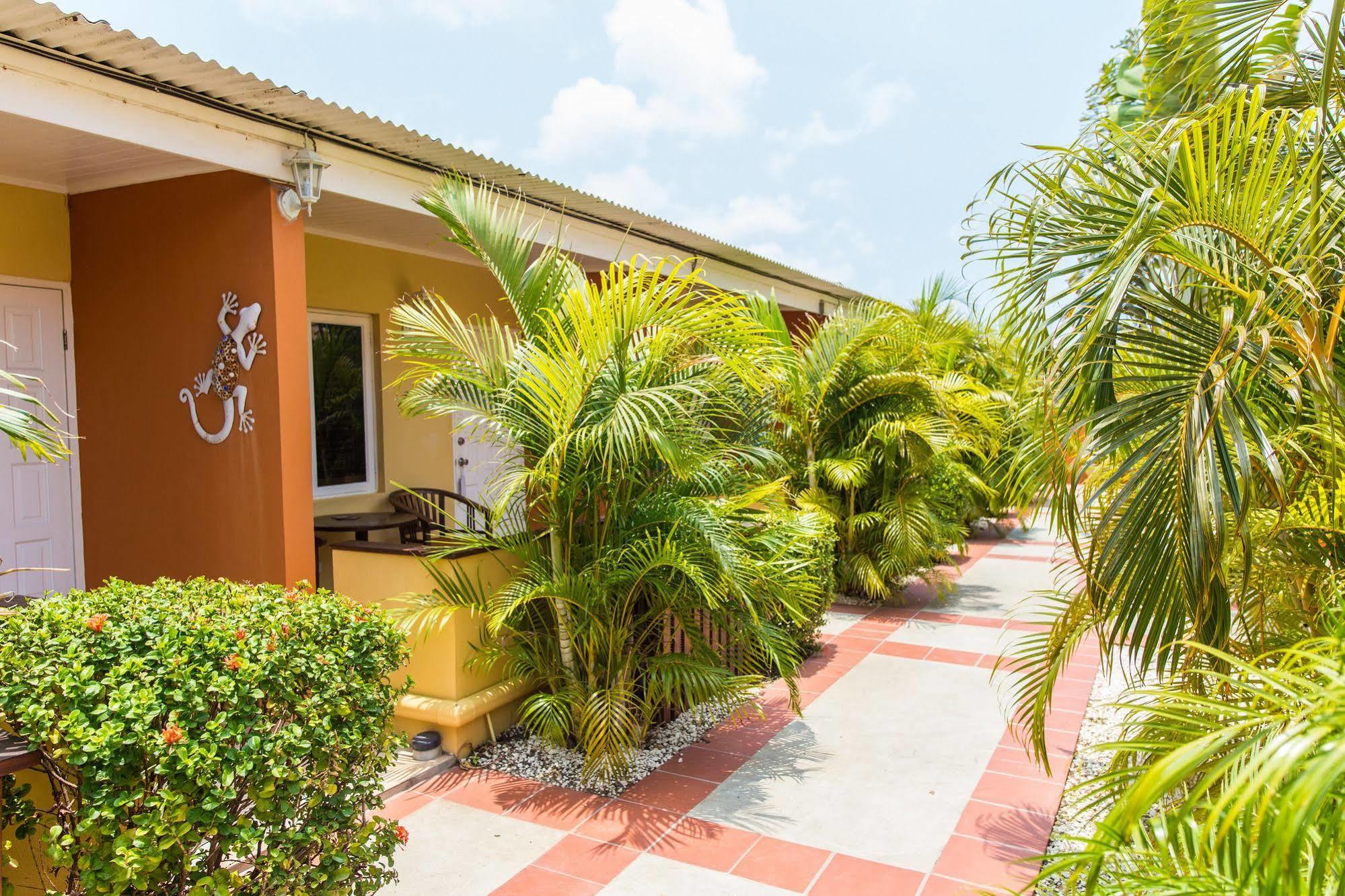 Carinas Studio Apartments Palm Beach Zewnętrze zdjęcie