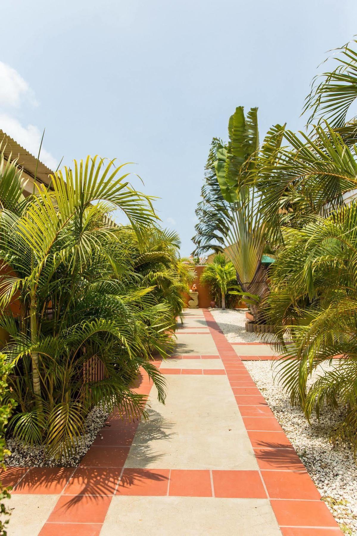 Carinas Studio Apartments Palm Beach Zewnętrze zdjęcie